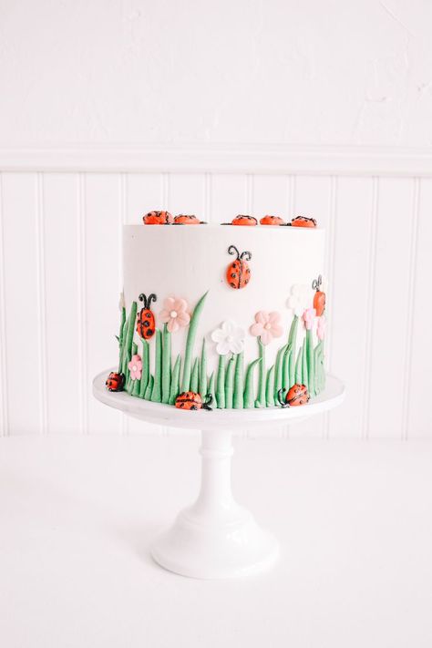 Ladybug Birthday Cake with soft natural hues for little girl's birthday party. Birthday Cake Ladybug, Ladybird Birthday Cake, Ladybug Cake Smash, Ladybug First Birthday Cake, Ladybird Birthday Theme, Lady Bug Themed Party Food, Lady Bird Cake, Bug Theme Cake, Lady Bug First Birthday Ideas