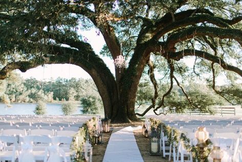 Texas Houston, Wedding Venue Houston, Pine Lake, Wedding Reception Locations, Wedding Venues Texas, Houston Wedding, Best Wedding Venues, Ideal Wedding, Outdoor Wedding Venues