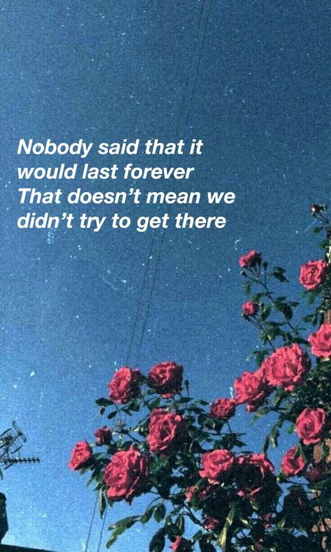 Lewis Capaldi - forever Lewis Capaldi Aesthetic Lyrics, Lewis Capaldi Songs, Forever Lewis Capaldi, Lewis Capaldi Quotes, Lewis Capaldi Aesthetic, Lewis Capaldi Lyrics, Lewis Aesthetic, Lyrical Quotes, Instagram Caption Lyrics