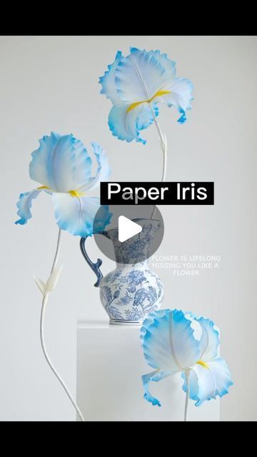 Liquor Decoration Design on Instagram: "Let me show you how to make a giant paper Iris. #iris #paperflower #floraldesign #floraldesigner #tutorial #floraldecor #blossom" Paper Iris, Giant Flowers Diy, Paper Flower Decor, Giant Flowers, Craft Tutorial, Iris Flowers, Crepe Paper, Flower Tutorial, Flowers Diy