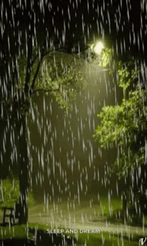 Pictures Of Rain, Gif Chuva, Rain Gif, Rain Lights, Marguerite Duras, Smell Of Rain, I Love Rain, Matka Natura, Autumn Rain