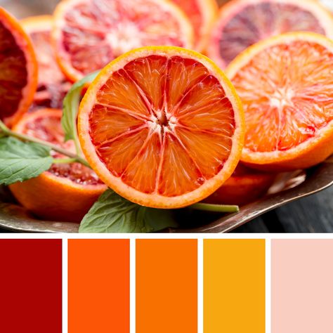 Indian Colour Palette, Color Design Inspiration, Food Inspired, Indian Colours, Orange Color Palettes, Palette Design, Color Pallete, Red Colour Palette, House Deco