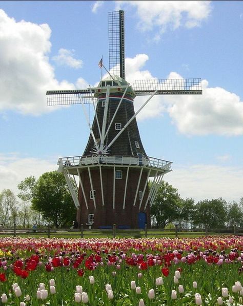 Genes Aesthetic, Dutch Village, Holland Beach, Dutch Culture, Travel Holland, Cola Cake, Dutch Heritage, Dutch Fashion, Wind Mills