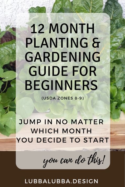 What to plant and when… Use this quick guide to jump into the gardening game no matter what time of year it is!  12 month planting guide - Lubba Lubba  #growyourownfood #organicgardening #vegetablegarden #howto #zone9A #flowergarden #growfood #growflowers  #garden Gardening Guide, Winter Gardening, Gardening Zones, Starting Seeds Indoors, Vegetable Garden Diy, Growing Veggies, Tomato Cages, Magic Garden, Starting A Garden