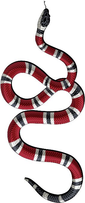 View full size Gucci Snake Sticker Clipart and download transparent clipart for free! Like it and pin it. Gucci Snake Tattoo, Gucci Stickers, Gucci Tattoo, Snake Sticker, Snake Red, Cards Aesthetic, Fashion Cards, Gucci Snake, Sticker Clipart