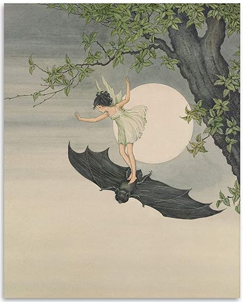 Amazon.com: The Fairy Flying on a Bat Illustration - 11x14 Unframed Art Print - Perfect Conversational Piece and Vintage Home Décor Under $15: Posters & Prints Ida Rentoul Outhwaite, Fairies Flying, Kunst Inspo, Bat Art, Fairy Illustration, Art Mignon, Elves And Fairies, Kunst Inspiration, Vintage Fairies