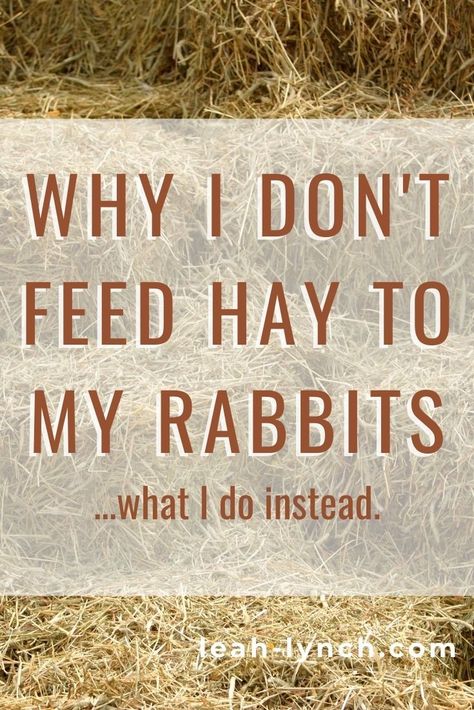 Rabbit Foraging Ideas, Fodder For Rabbits, Rabbit Hutches Diy, Rabbit Farming Ideas, Rabbit Nesting Boxes, Rabbit Butchering Station, Hay Storage Ideas Bunny, Diy Bunny Hay Feeder, Herbs For Rabbits