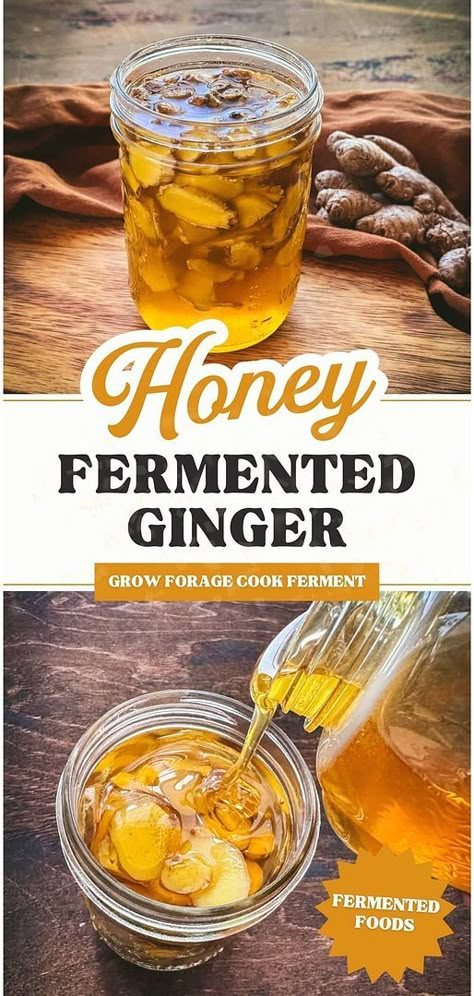 Dive into the world of honey fermented ginger, a tasty and healthful addition to your fermented foods & fermentation recipes collection. With just ginger and raw honey, you can boost your immune system and enjoy the anti-inflammatory properties of ginger. Great for those interested in long term food storage and herbs for health. Find more at growforagecookferment.com. Fermented Ginger, Herbs Medicine, Ginger Bug, Fermented Honey, Mouth Health, Cold Remedy, Raw Apple Cider Vinegar, Fermentation Recipes, Long Term Food Storage