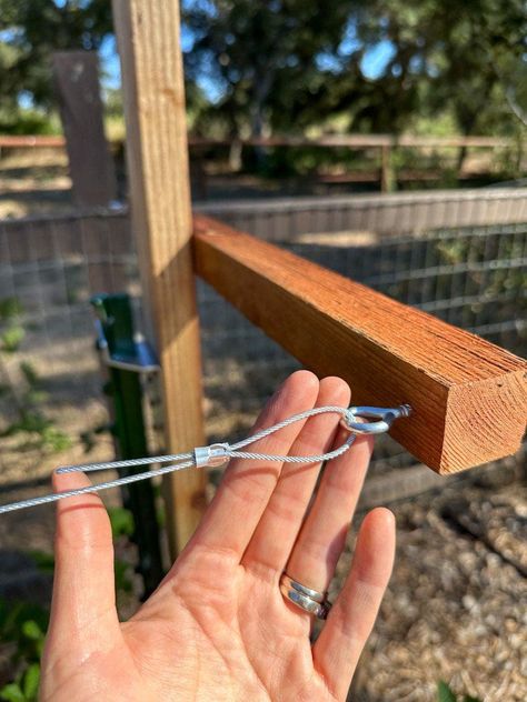 DIY Berry Trellis: How to Build a Wire Raspberry or Blackberry Trellis (Video) ~ Homestead and Chill Diy Berry Trellis, How To Stake Raspberry Bushes, Raspberry Fence Ideas, Black Raspberry Trellis Ideas, Diy Blackberry Trellis, Raspberry Supports Diy, Blackberry Patch Ideas, Raspberry Trellis Ideas How To Build, Raspberry Garden Trellis