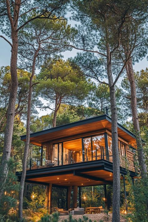 Modern treehouse timber cabin home in a stunning pine forest with high trees. Check out all of these cozy and innovative timber cabins to spark your imagination and elevate your rustic living dreams. Tiny House Hillside, Houses In Forests Woods, Glass Tree House, Small Modern Cabin Plans, Modern Lake Cabin, Modern Cabin Home, Modern House In The Forest, Cabin Chronicles, Modern Cabin In The Woods