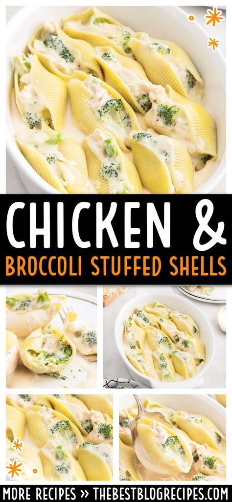 Chicken Broccoli Stuffed Shells combine creamy Alfredo sauce, tender chicken, and fresh broccoli in a comforting, easy-to-make pasta dish. Perfect for family dinners or special occasions, this recipe will satisfy everyone’s cravings. Broccoli Cheddar Stuffed Shells, Stuffed Shells Side Dish, Shell Recipes Stuffed, Shells And Broccoli Recipe, Stuffed Chicken Shells Recipes, Chicken Broccoli Stuffed Shells, Alfredo Stuffed Shells Chicken, Meatball Stuffed Shells, Chicken Broccoli Alfredo Stuffed Shells