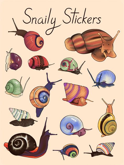 Real talk, snails are flippin' adorable! They're so squishy with pretty shells and cute little antenna, they're so cute! This sheet features 15 different snails from mystery snails, to the giant African snail, and the striped candy cane snail.  Details - A5 sheet size - 15 total stickers - printed on water resistant vinyl - Grades: A grade, perfect stickers 10/10,                   B grade, sheet has imperfections but stickers themselves are perfect Cute Bugs Illustration, Mystery Snails, African Snail, Pretty Shells, Snail Sticker, Cute Snail, Snail Art, Bug Art, Snail Shell