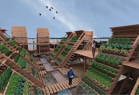 Urban Garden Design, Vertical Farming, Aquaponics System, Vegetable Garden Design, Hydroponic Gardening, Rooftop Garden, Design Magazine, Community Gardening, Roof Garden