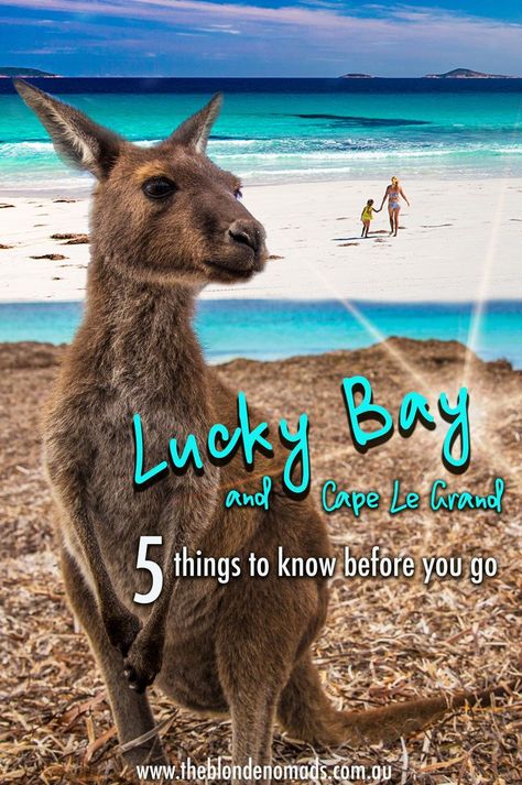 Lucky Bay Western Australia. Australian Photography, Travel Wishes, Australian Travel, Oceania Travel, Grand National, Travel Australia, Travel Brochure, Northern Territory, Family Holidays