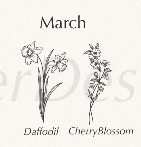 March Flower Daffodils, Daffodil Jonquil Tattoo, Birth Flower March Tattoo, Birthflower March Tattoo, Dafodill Flowers Tattoo Fine Line, Daffodil And Cherry Blossom Tattoo, March Birth Flower Tattoo Daffodils, Daffodil Tattoo Design, March Flower Tattoo