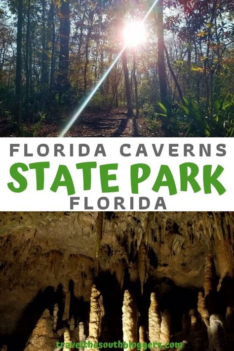 Florida Caverns, Florida Caverns State Park, Florida Travel Destinations, Florida Parks, Only In Your State, Florida Adventures, Florida State Parks, Visit Florida, Florida Vacation