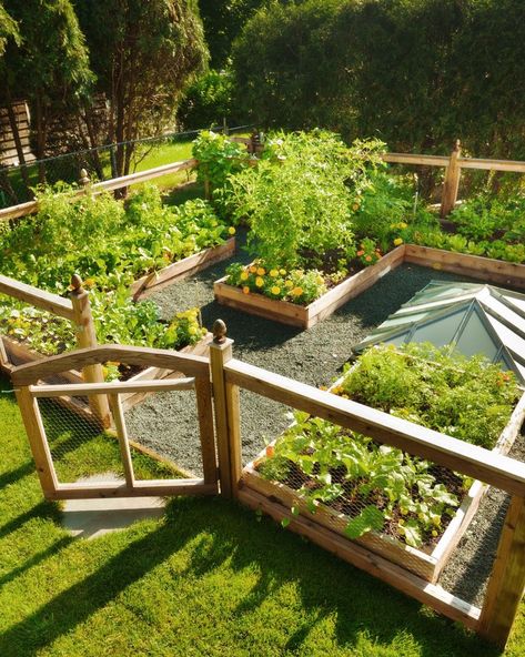 vegetable garden layouts Fruit And Veg Garden Design, Gardens Ideas Backyard Vegetable, Backyard Veggie Garden Aesthetic, Garden With Planter Boxes, Fenced Veggie Garden, Landscape Vegetable Garden, Raised Vegetable Beds Layout, Garden With Vegetables And Flowers, Vegetable Garden Design Backyard