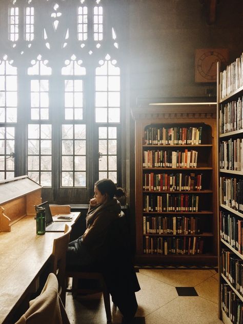 Dream Library, Life Adventure, Fun Beach, University Life, University Of Toronto, Art Happy, Dark Academia Aesthetic, Studying Inspo, The Secret History