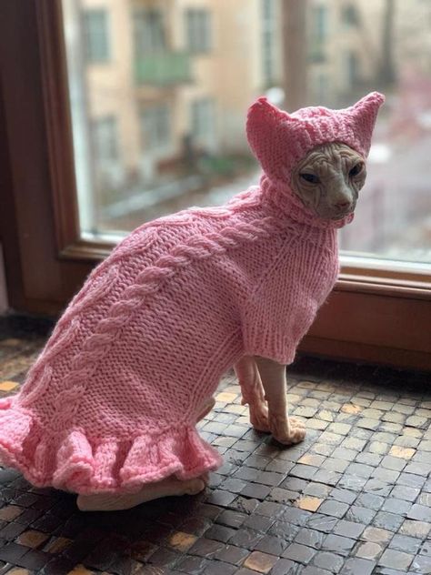 Aggressive Cat, Fancy Animals, Pet Crochet, Cute Hairless Cat, Large Dog Sweaters, Cat Suit, Hairless Cats, Sphynx Cat Clothes, Sphynx Cats