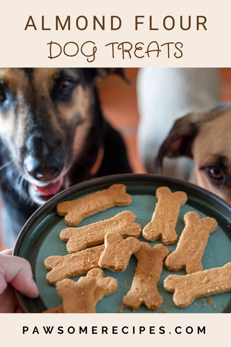 Almond Flour Dog Treats, Dog Treats Homemade Peanut Butter, 3 Ingredient Dog Treats, Dog Meals, Gluten Free Dog Treats, Dog Cookie Recipes, Pet Remedies, Dog Treats Homemade Easy, Easy Dog Treat Recipes