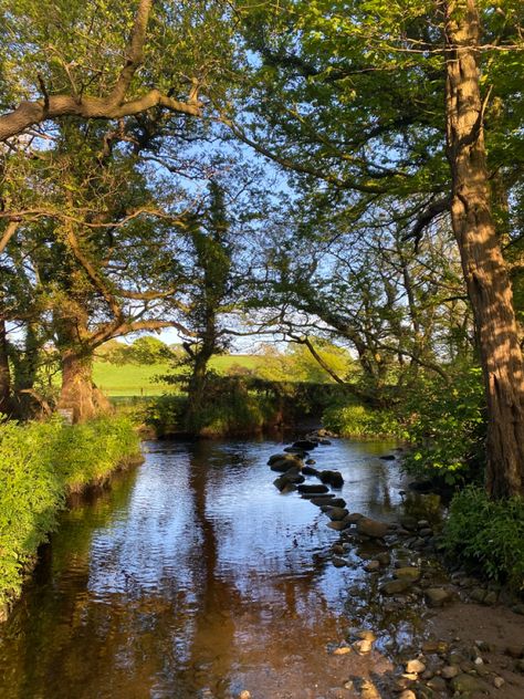 summer walk, brook, summer evening, pretty england, northern england Summer In England, England Aesthetic, England Summer, Uk Summer, English Summer, Book Board, Country Walk, Northern England, British Summer