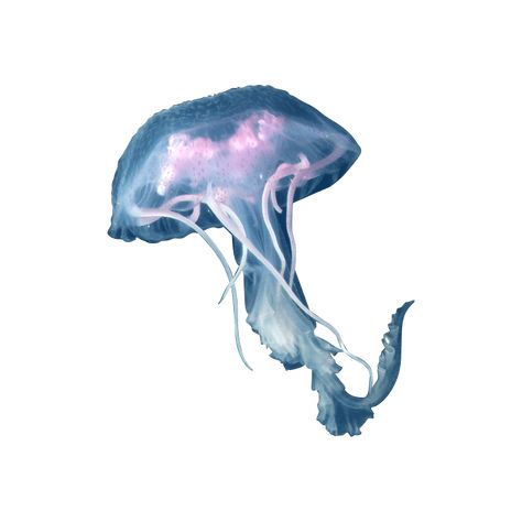 Sea Icons Png, Jellyfish Png Aesthetic, Oceancore Widgets, Sea Png Aesthetic, Ocean Carrd Png, Sea Life Icons, Ocean Png Aesthetic, Jellyfish Widget Icon, Jellyfish Icon Aesthetic