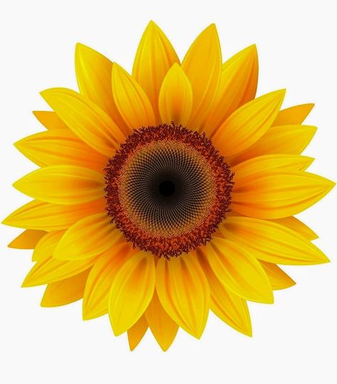 Sunflower Decal, Vinyl Home Decor, Yellow Sunflower, Gray Yellow, Gracie Oaks, Wall Decal, Sunflower, Vinyl, Yellow