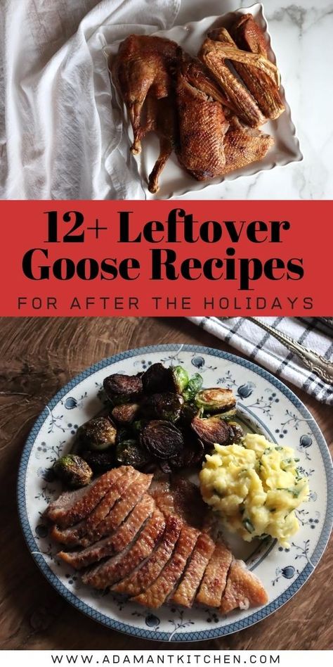 20+ Leftover Goose Recipes Cooked Goose, Zero Waste Food, Goose Recipes, Deer Meat Recipes, Wild Goose, Healthy Brunch, Fall Recipes Healthy, Fast Healthy Meals, Duck Recipes