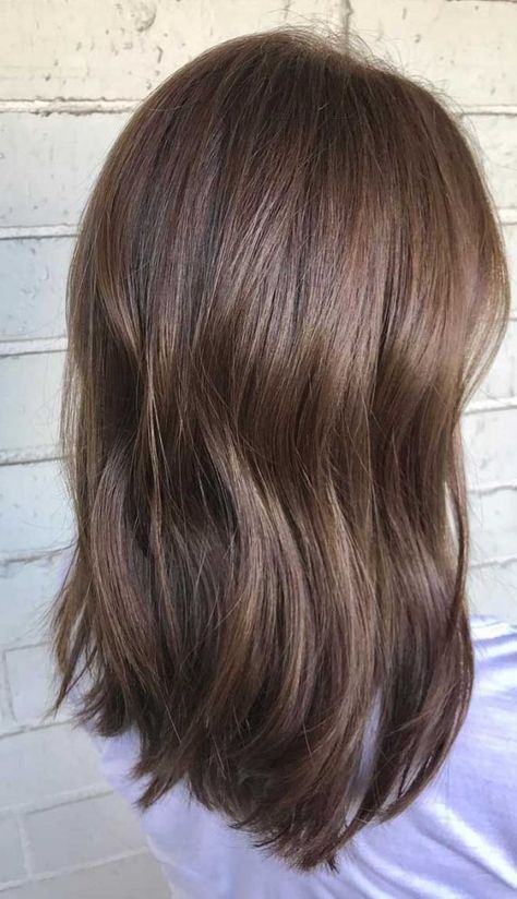 49 Beautiful Light Brown Hair Color To Try For A New Look Beautiful Light Brown Hair, Honey Brown Hair Color, Cool Brown Hair, Medium Brown Hair Color, Hair Levels, Light Brown Hair Color, Beautiful Brown Hair, Wedding Color Palettes, Brown Hair Shades