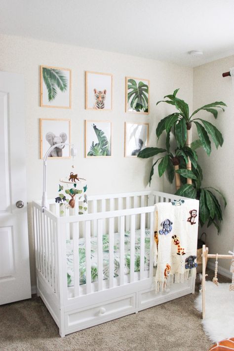 Jungle Theme Baby Room, Neutral Safari Nursery, Safari Nursery Boy, Baby Boy Nursery Ideas, Boy Nursery Ideas, Jungle Themed Nursery, Jungle Theme Nursery, Safari Theme Nursery, Tropical Nursery