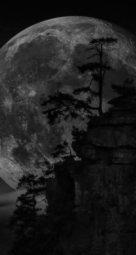 Sunset Phone Wallpaper, Moon And Stars Wallpaper, Black And Purple Wallpaper, Moonlight Photography, Samurai Wallpaper, Dark Black Wallpaper, Dark Landscape, Black Wallpaper Iphone Dark, Art Noir