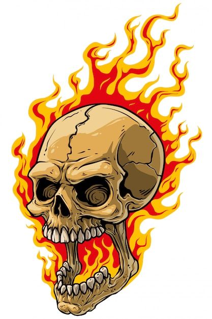 Scary Human, Cartoon Skull, Cartoon Kunst, Skull Stencil, Skull Sketch, Skull Fire, Eye Illustration, Skull Art Drawing, Skulls Drawing