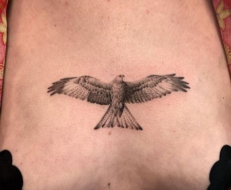 Flying Falcon Tattoo, Hawk Outline Tattoo, Strong Bird Tattoo, Kestrel Tattoo Design, Sparrowhawk Tattoo, Australian Bird Tattoo, Goshawk Tattoo, Gen Z Tattoo Ideas, Hawk Tattoo Small