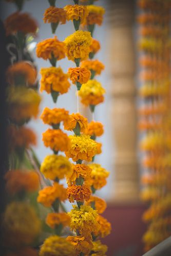 Wedding Flowers Indian, Marriage Photography Background, Moodboard Elements, Bride Stills, Haldi Poses, India Pic, Flower Bokeh, Marriage Album, Hotel Flower Arrangements