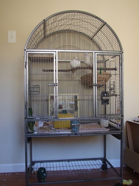 This flight cage makes a great indoor cage for 1-2 doves Indoor Pigeon Cage Ideas, Indoor Pigeon Cage, Cages For Birds, Pigeon Cage Ideas, Bird Cage Ideas Indoor, Pigeon Cage, Flight Cage, Pet Pigeon, Cages For Sale