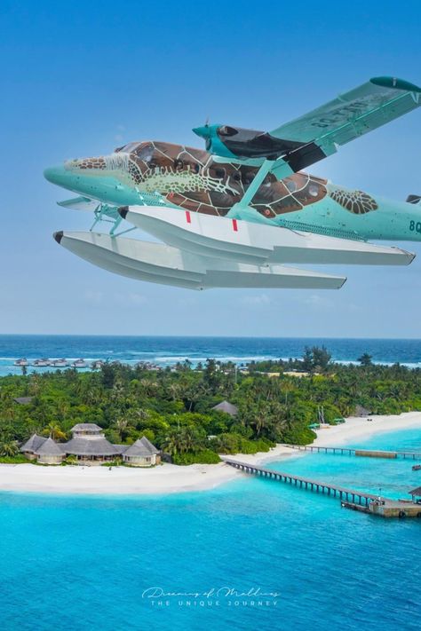 Flying Turtle seaplane maldives Six Senses Laamu' Seaplane Maldives, Six Senses Laamu, Flying Turtle, Six Senses, Visit Maldives, Aviation World, Maldives Resort, Arabian Sea, Dream Holiday