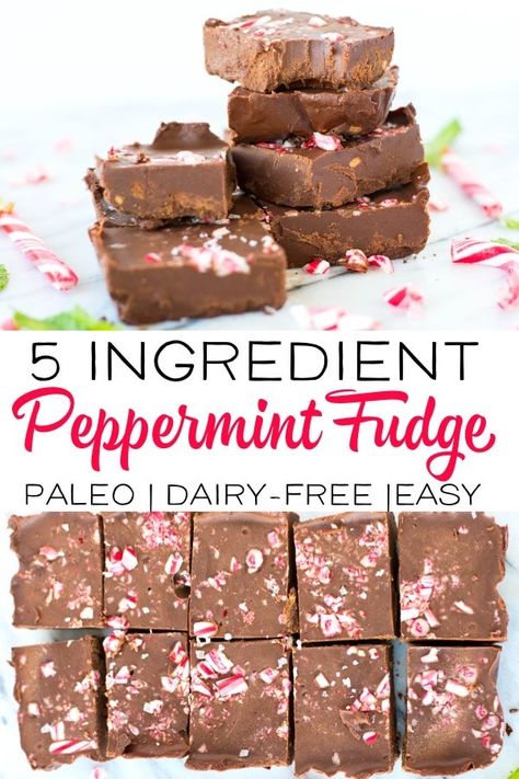 Quick and Easy Paleo Peppermint Fudge - Beauty and the Bench Press Paleo Fudge, Healthy Holiday Desserts, Hot Fudge Cake, Hot Chocolate Fudge, Peppermint Fudge, Single Serve Desserts, Slow Cooker Desserts, Paleo Sweets, Winter Desserts