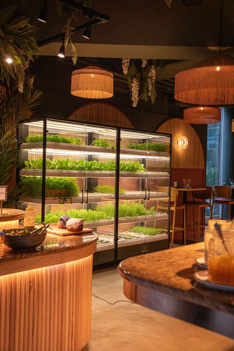 Indoor vertical farm in a cozy restaurant with greens growing inside. Vertical Farming Restaurant, Restaurant Herb Garden, Hydroponic Restaurant Design, Salad Cafe Interior, Salad Restaurant Interior, Greenhouse Restaurant Interior Design, Eco Restaurant Design, Sustainable Restaurant Design, Hydroponic Restaurant