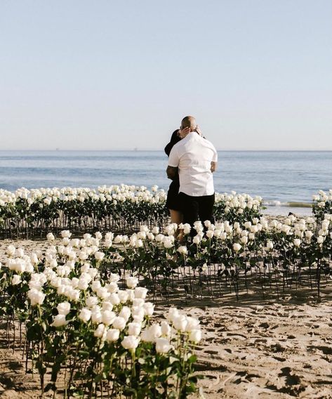 Rose Beach Proposal, Beach Flower Proposal, White Rose Proposal, White Roses Proposal, Proposal Backyard, White Proposal, Beach Proposal Ideas, Proposal Outfit, Proposal Ideas Beach