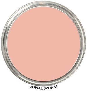 Jovial 6611 by Sherwin-Williams Paint Blob Paint Blob, Paint Samples, Sherwin Williams, A Color, Paint Color, The Details, New Homes, Blush, Paint