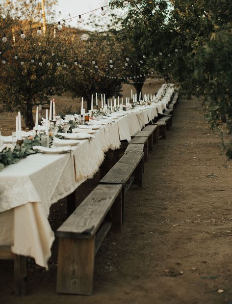 Outdoor Dinner Party, Family Style Table, Long Table Wedding, Diy Wedding Reception, Reception Tables, Outdoor Dinner, Wedding Reception Tables, Long Table, Wedding Dinner