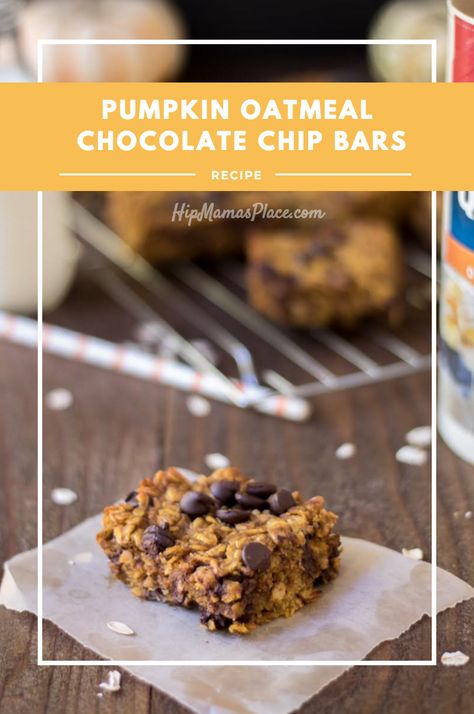 Pumpkin Oatmeal Chocolate Chip Bars Oatmeal Chocolate Chip Bars Recipe, Chocolate Chip Pumpkin Bars, Chewy Oatmeal Bars, Chip Bar, Oatmeal Pumpkin, Oatmeal Chocolate Chip Bars, New Year's Desserts, Chocolate Chip Bars, Snack Healthy