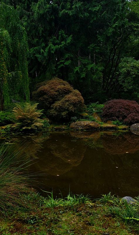 Dark Backyard Aesthetic, Dark Background Landscape, Horticulture Aesthetic, Portland Forest, Pond Aesthetic, Dark Plant, Moody Garden, Surreal Drawing, Plant Vibes