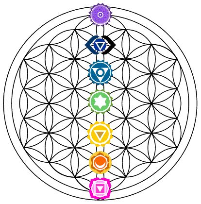 Flower of Life – Symbolism 6 Hidden Meanings (Sacred Geometry) Seed Of Life Meaning, Flower Of Life Meaning, Life Symbolism, The Seed Of Life, Geometry Symbols, Flower Of Life Symbol, The Flower Of Life, Sacred Geometry Symbols, Platonic Solid