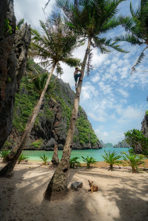 best things to do el nido Beaches In The Philippines, Philippines Country, Philippines Vacation, Visit Philippines, Philippines Beaches, El Nido Palawan, Koh Chang, Philippines Travel, Palawan