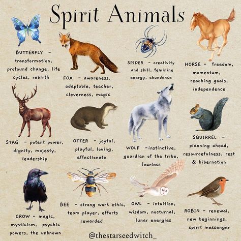 Spirit Guide Animals, Animals Spiritual Meanings, Animal Meanings Symbols, Squirrel Spirit Animal Meaning, Animal Tattoos And Their Meanings, Zodiac Spirit Animals, Animals With Meaning, Leo Spirit Animal, Animals And Meanings