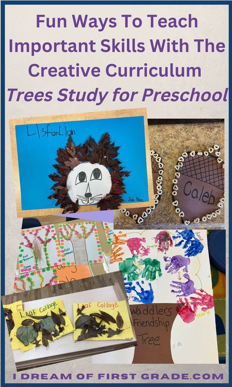 Questions Of The Day, Creative Curriculum Preschool, Alphabet Centers, Leaf Collage, Prek Classroom, Dramatic Play Preschool, Preschool Units, Tree Study, Pattern Activities