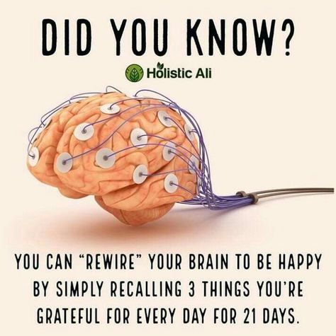 Did you know Natalie Williams, Human Brain, Health Facts, Brain Health, Healthy Mind, Health Remedies, Interesting Facts, Healthy Tips, Holistic Health