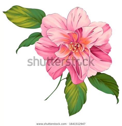 Digital Textile Design Flower Leaves Stock Illustration 1641512947 Botanical Flowers Png, Digital Flowers Png, Dp Flowers, Textile Design Flower, Hd Flowers, Ornament Flower, Flower Png Images, Cherry Blossom Art, Folk Art Flowers