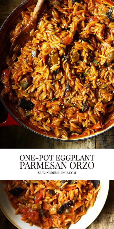 One Pot Mediterranean Orzo Pasta, Legume Dinner Recipes, Orzo Eggplant Recipe, Plant Based One Pot Meals, Orzo Vegan Recipes, One Pot Veggie Pasta, Instant Pot Eggplant Recipes, Quick Eggplant Recipes, Orzo Recipes Vegetarian